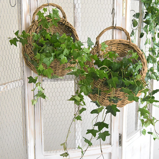 Hanging Wicker Baskets