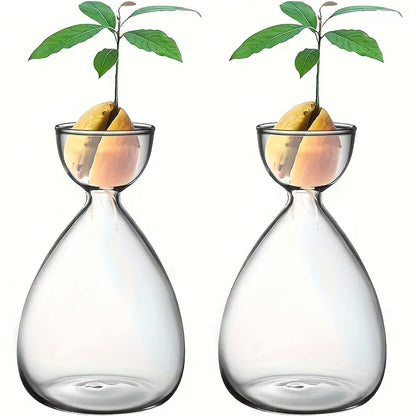 2 or 6 Small Avocado Seed Starter Vases