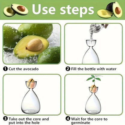 2 or 6 Small Avocado Seed Starter Vases