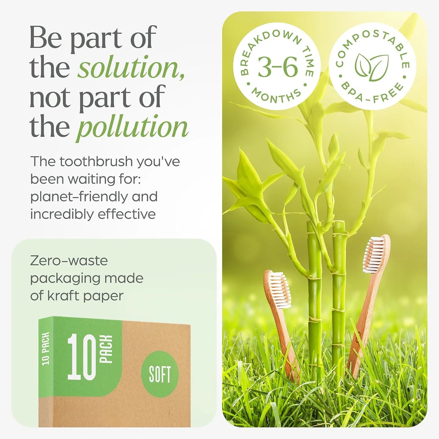 Bamboo Toothbrush 10 Packs