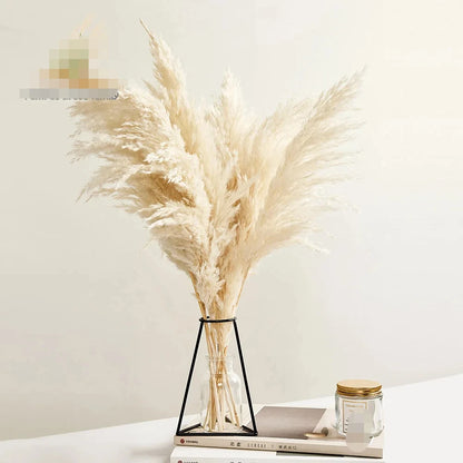 Pampas Grass Decor