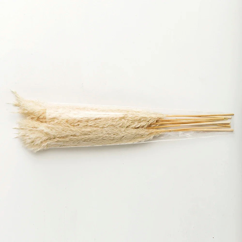 Pampas Grass Decor