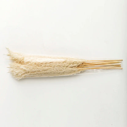 Pampas Grass Decor