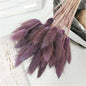 Natural Dried Rabbit Tail Grass