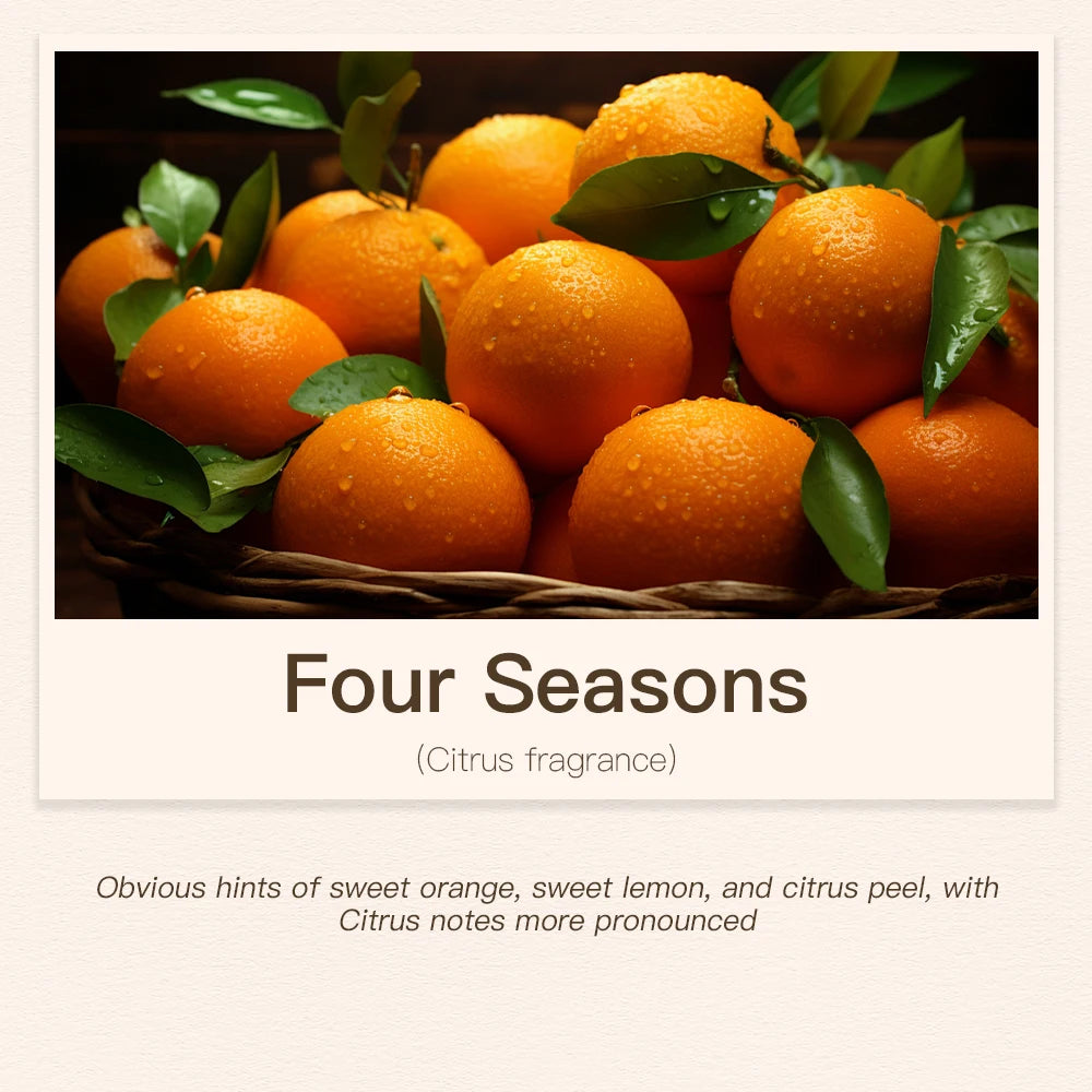 300ML Essential Oil For Aroma Diffusers