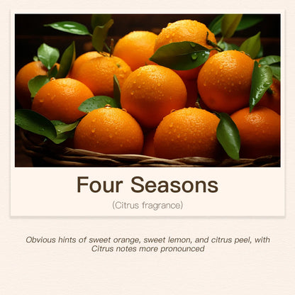 300ML Essential Oil For Aroma Diffusers