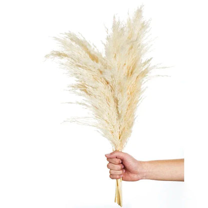 Pampas Grass Decor